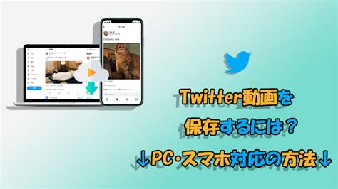 twitter 動画を保存する方法|【3つの方法】Twitterの動画をPC保存する方法